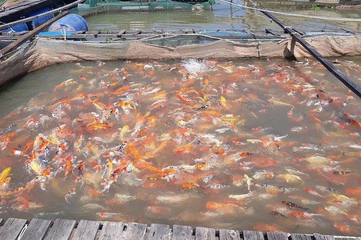 サイゴンからの2日間のメコンデルタカントー水上マーケット（多くのオプションを降ろします）