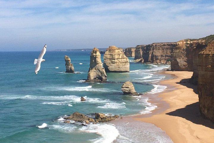 [VISITE PRIVÉE] Express Great Ocean Road | Excursion d'une journée