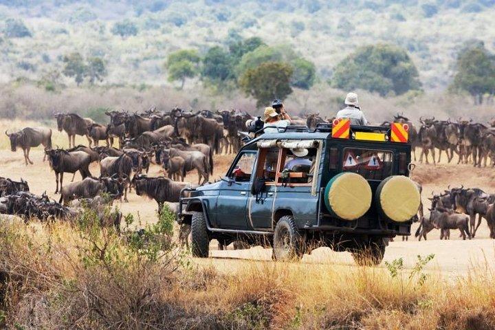 11 Tage Kenia Fotografische Safari
