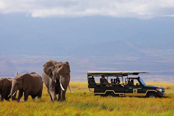 11 Days Elewana Luxury Safari Packages
