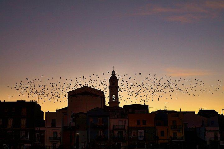 6 日間のポンペイ、アマルフィ海岸、魅力的なイタリア ローマからの少人数グループ ツアー