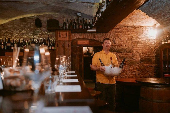 2-Hour Interactive Wine Tasting Experience in Ljubljana