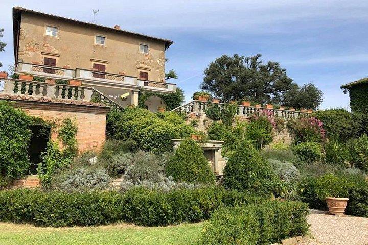 Arezzo: Wine Tasting Experience in Valdichiana area
