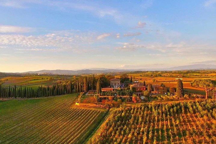 Arezzo: wijnproeverij in de regio Valdichiana