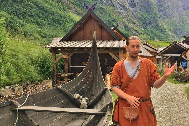 プライベートガイドツアー：ノルウェーの見どころ–バイキングスペシャル、11時間