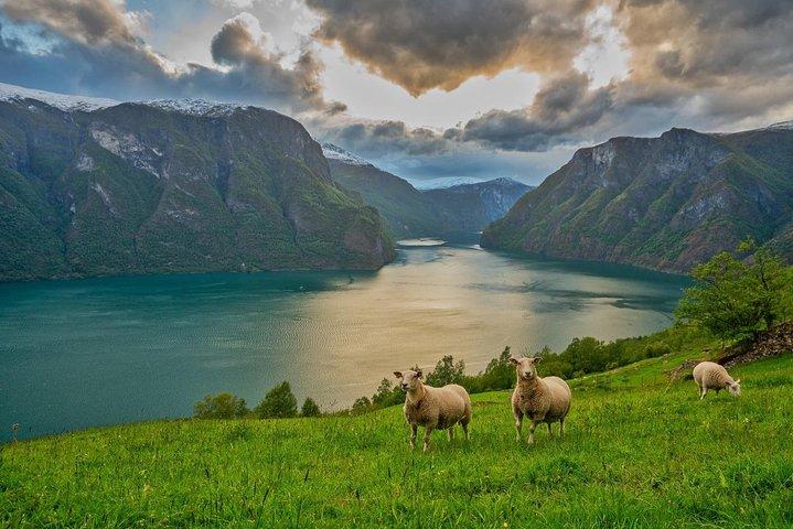 PRIVATE FÜHRUNG : Norwegens Highlights – Wikinger Spezial, 11 Stunden