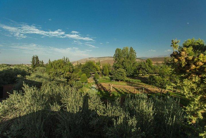 Ourika Garden Guided Day Trip vanuit Marrakech