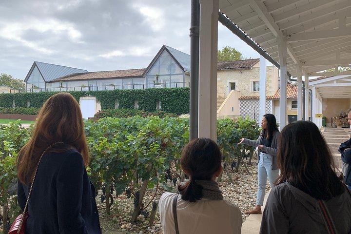 Private Tagestour durch das Médoc (Premium-Limousine)