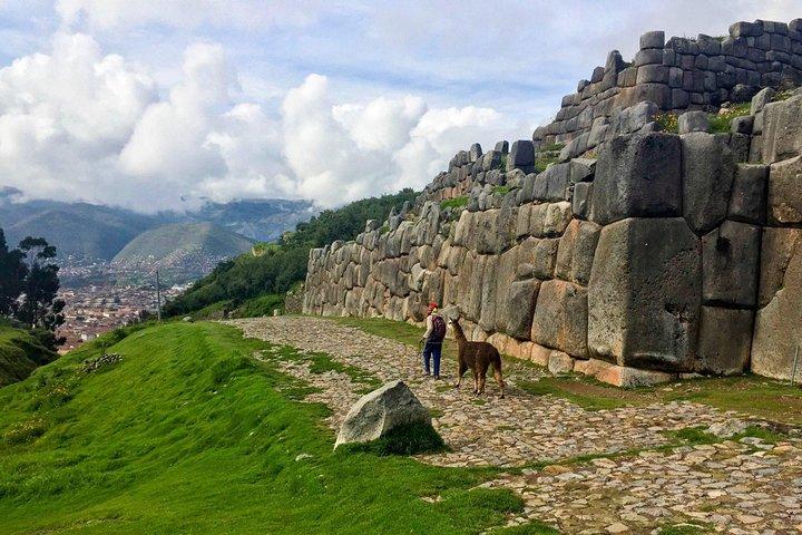 City Tour en Cusco con visita a camélidos sudamericanos