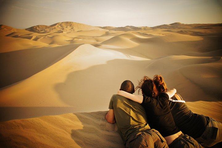 Nazca Lines Scenic Flight – Unforgettable Day Tour, from Lima