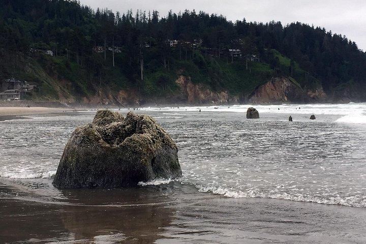 北オレゴン海岸のキャノン ビーチ エリアへの日帰り旅行