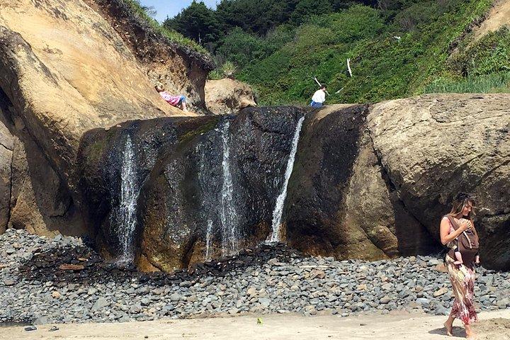 北オレゴン海岸のキャノン ビーチ エリアへの日帰り旅行