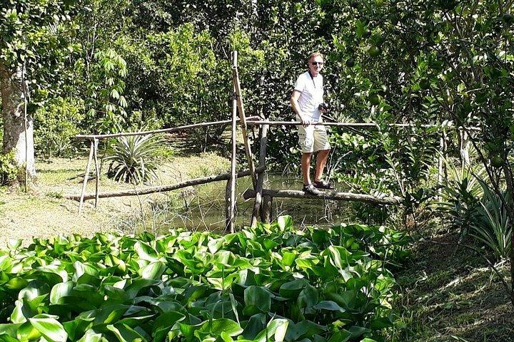 クラシックメコンデルタとカイラン水上マーケットは、ホーチミンから1日楽しむ
