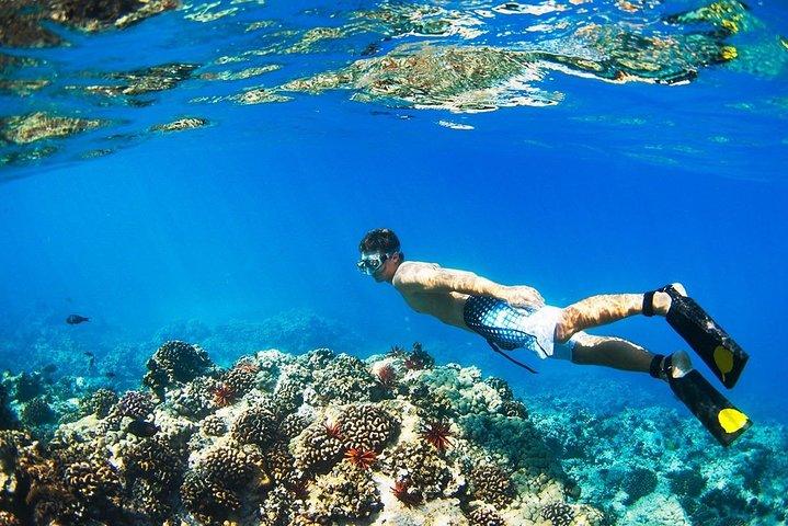 ニャチャン湾での半日ツアー シュノーケリング ランチ込み