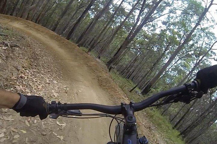 ヌーサ eMtn バイク ツアー : 楽しい MTB トレイルで国立公園を探索