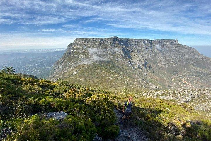Camine por Table Mountain o Lions Head en Ciudad del Cabo como un local