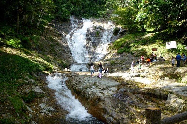 クアラルンプール発キャメロン ハイランド日帰り旅行