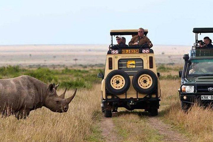 6 Days Samburu, Lake Nakuru & Masai Mara Safari on 4x4 Jeep