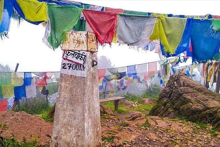 Excursão de observação de pássaros Phulchoki