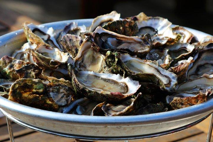 プライベートツアー：マリストーン日帰り旅行（ドゥブロヴニクからのオイスター試食）