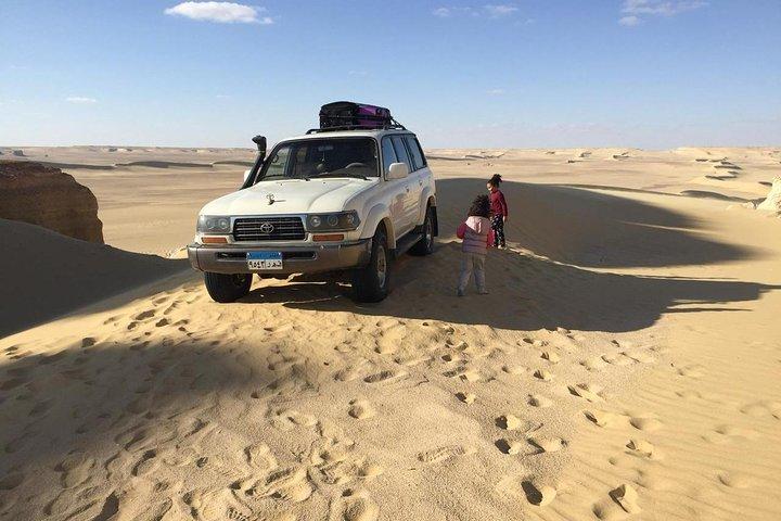 Excursion d'une journée à El-Fayoum depuis le Caire