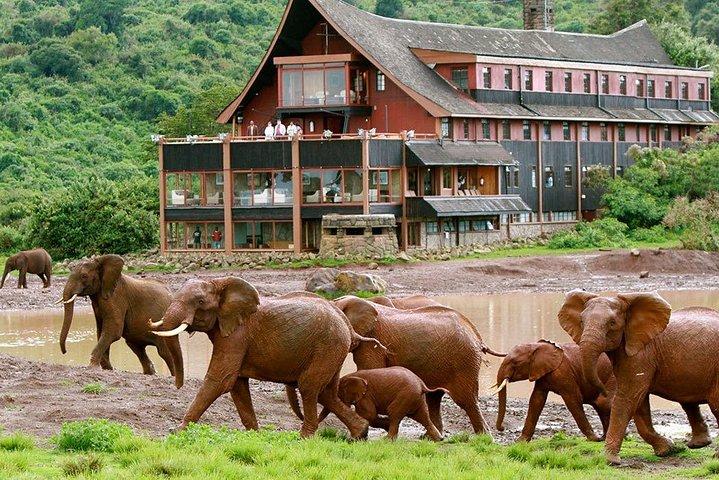8 jours de safari Best Of Kenya Big 5 en jeep 4x4 Land Cruiser