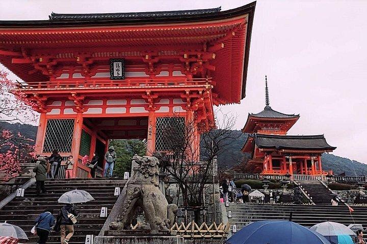伏見稲荷、G園、清水寺などの気楽なプライベート探検