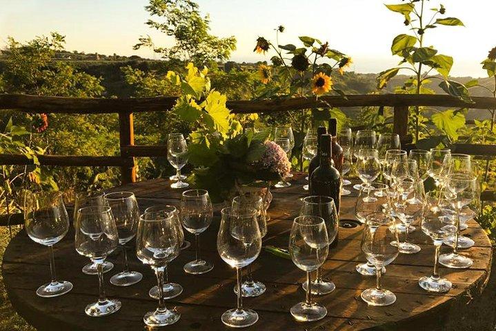 Degustación de vinos y productos típicos.