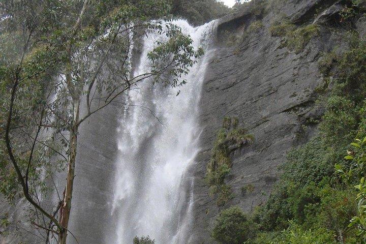 Excursion d'une journée à Nuwara eliya au départ de Kandy