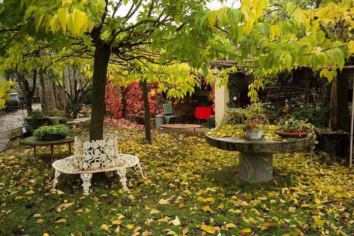 Assisi, Deruta & Bio-Gourmet-Mittagessen im Olivenöl-Bauernhaus von SIENA
