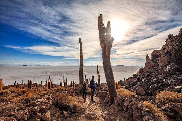 Salar De Uyuni (3 dagar) Spanska taleguide