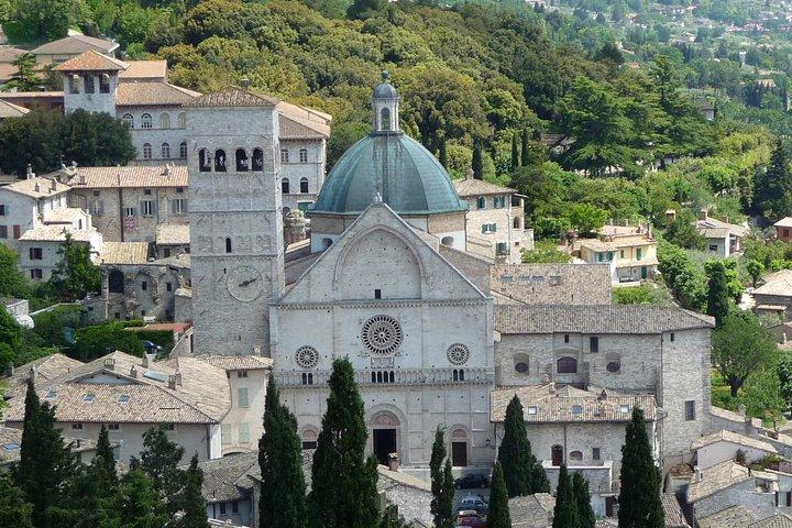Assisi, Deruta & Bio-Gourmet-Mittagessen im Olivenöl-Bauernhaus von SIENA