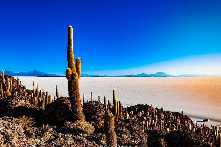 Salar De Uyuni (1Tag) - Spanisch sprechender Führer