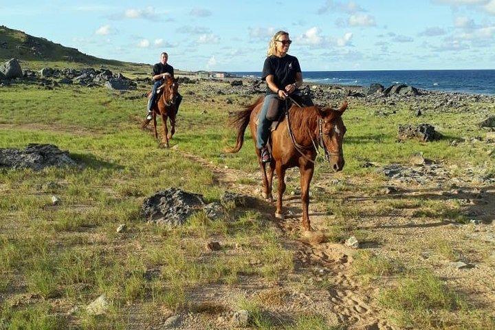 Aruba 2,5 timers ridning for avancerede ryttere