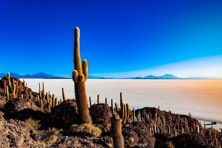 Uyuni Salt Flats (3 Tage) Englisch sprechender Guide