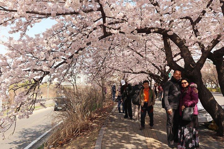 Flexible Private Van Tour in Seoul by Experts