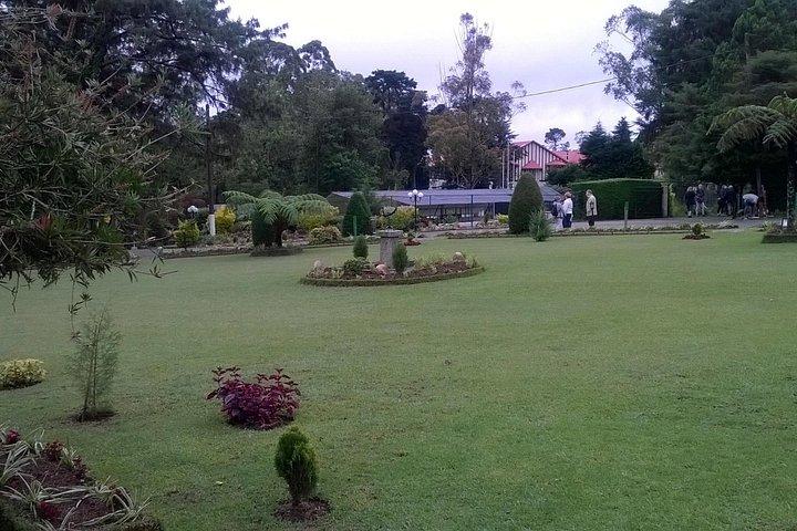 Tagesausflug nach Nuwara eliya ab Kandy