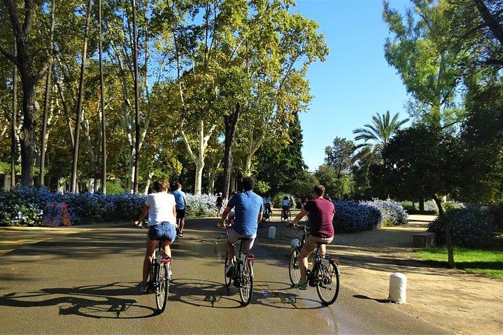 Sevilla elektrische fietstour - kleine groep