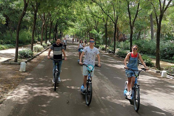 2 Hours Rental Electric Kickscooter