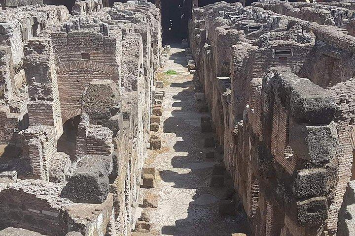 古代ローマとコロッセオ：半日プライベートツアー