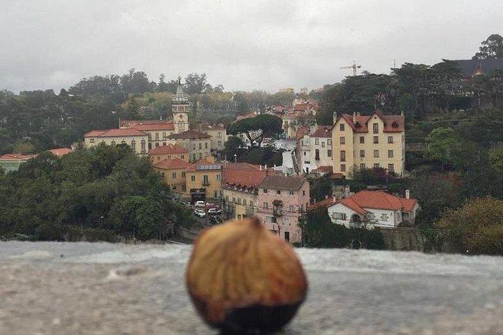 Private 4 hour Sintra Tour