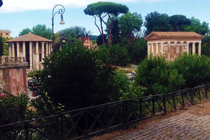 Rome Demi-journée avec Guide privé