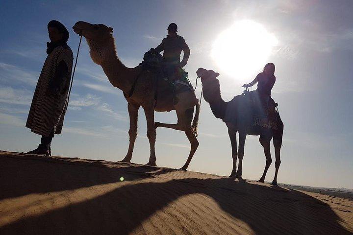 Sahara Camel Trekking - Pernottamento in campeggio
