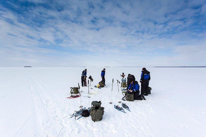 Pesca en hielo en moto de nieve desde Levi, Finlandia