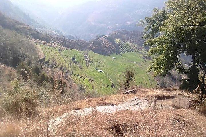 Mulde & Khopra Danda Trek