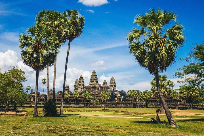 Explore Angkor Wat and Ta Phrom in depth