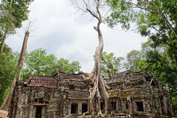 Explore Angkor Wat and Ta Phrom in depth