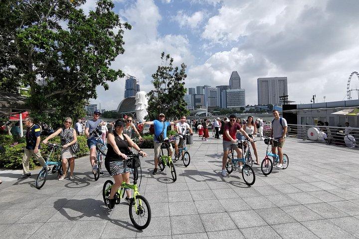 Lion stadsfietstocht van Singapore