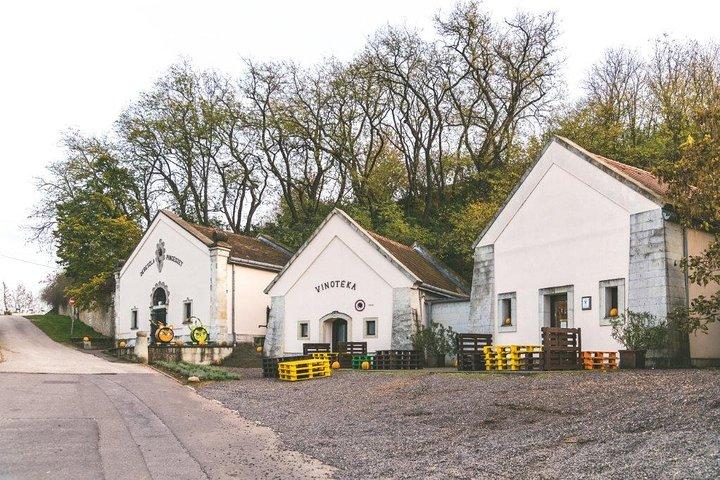 世界的に有名なアスーが住むトカイワインリージョン、プライベートツアーで！
