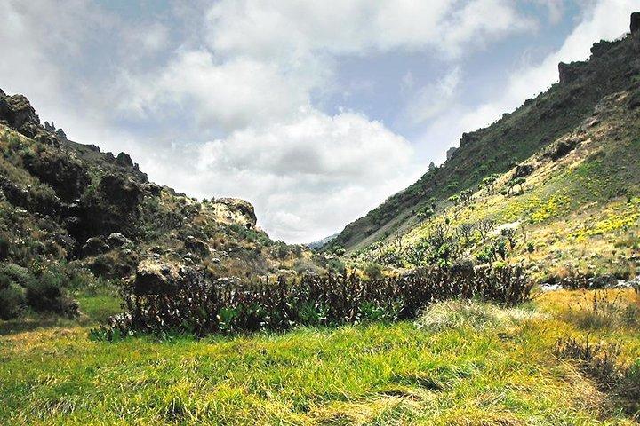 3 dias Elgon caminhadas e quedas de Sipi